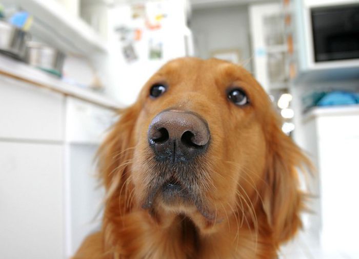 52 - x02-Alegeti poza