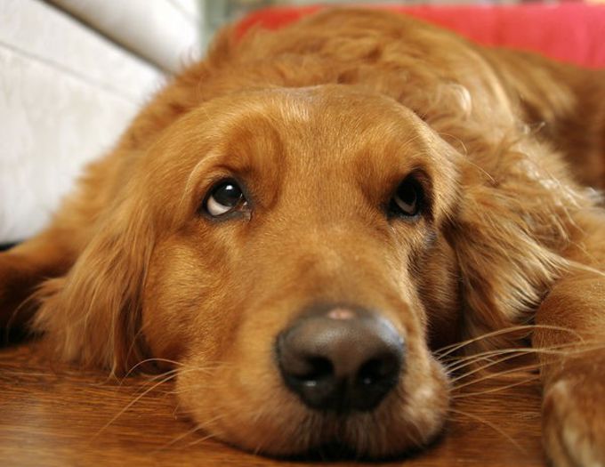 54 - x02-Alegeti poza