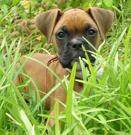 AlinaEremia001 - x02-Alegeti poza