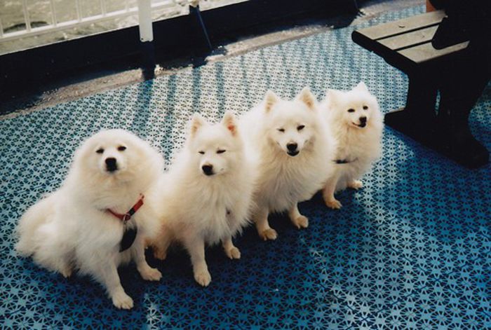 hinataangel - x02-Alegeti poza