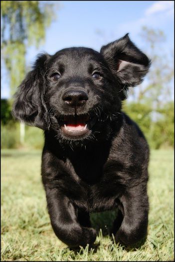 72 - x02-Alegeti poza