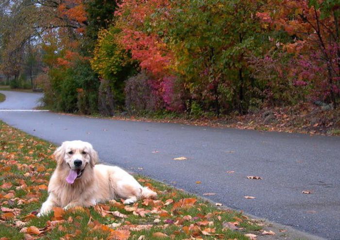 86 - x02-Alegeti poza