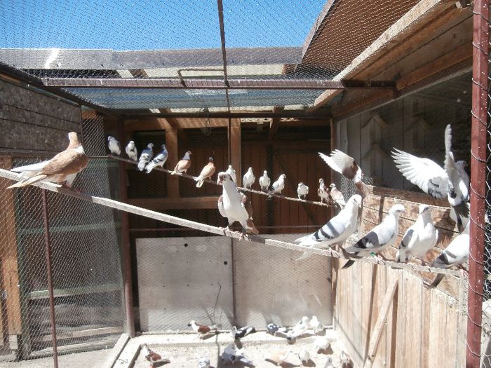 SERIA 1  2013 - F- PUI 2013