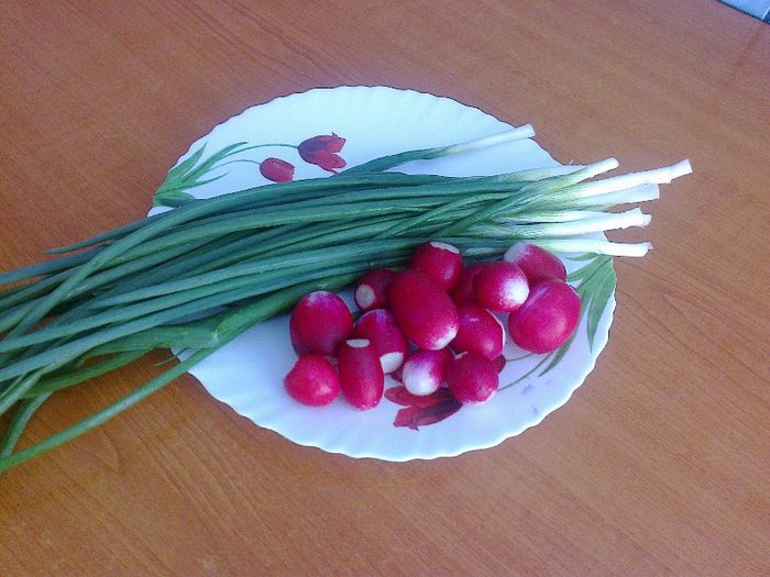 Ceapa verde si ridichi din gradina