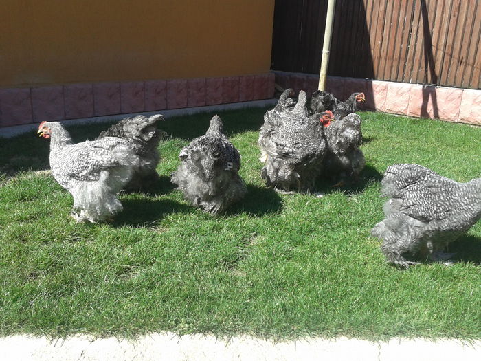 2013-05-11 16.05.05
