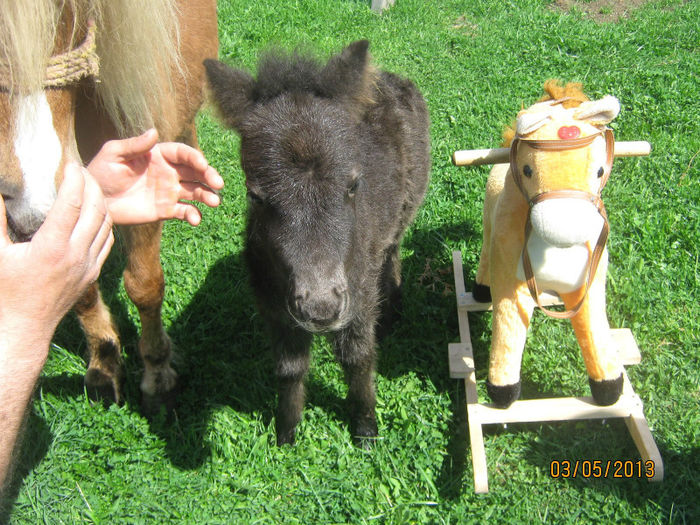 479412_252969661510893_1599963610_o