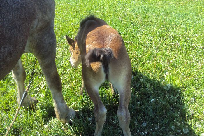 DSC02120 - nurca si manzuca