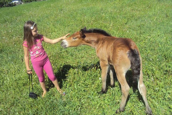 DSC02131 - nurca si manzuca