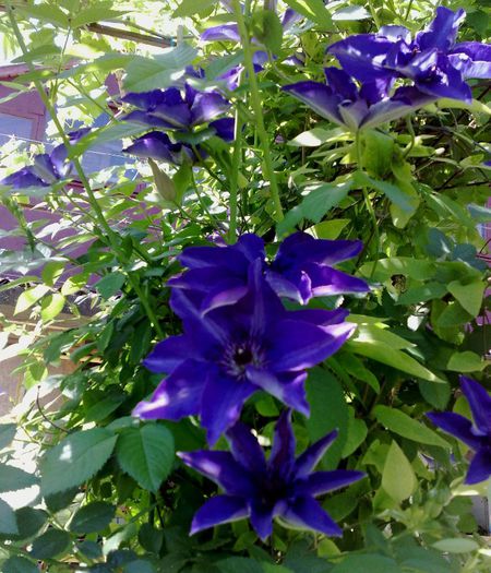 11052013 The President