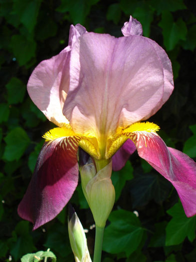 DSC04980