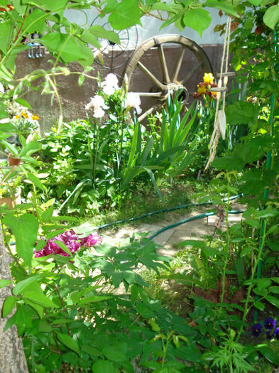 DSC05074