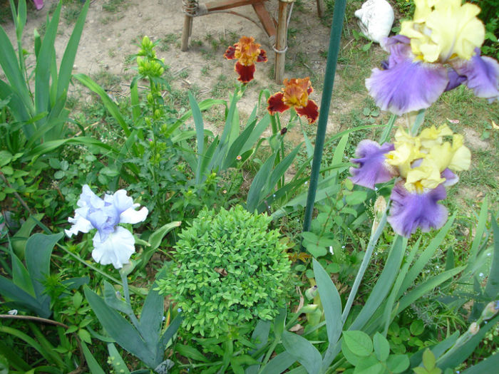 DSC05417