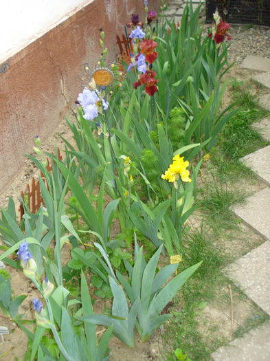 DSC05456
