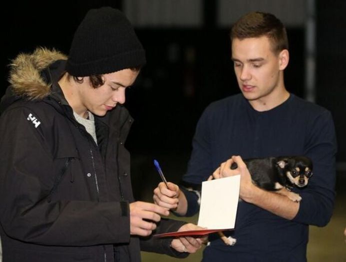 1D - 00 Poze One Direction rare 03