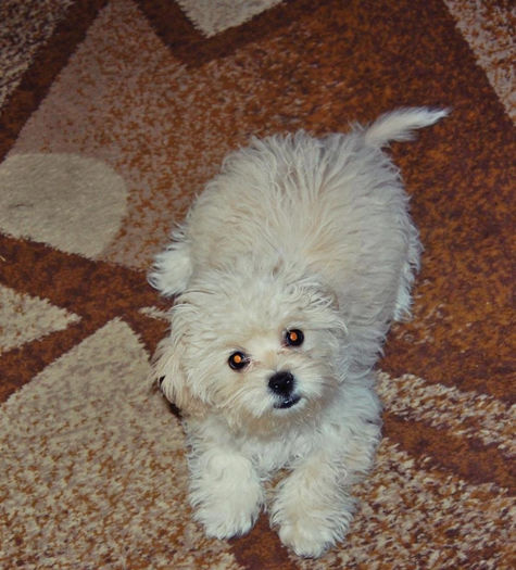 45205_138459993000093_1642493189_n