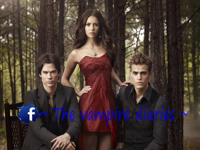 395343_355074334576038_1644513873_n - the vampire diaries