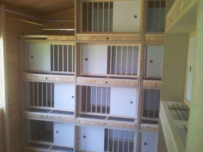 20130512_140807 - Copy