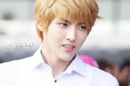  - Kris exo m