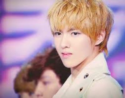  - Kris exo m