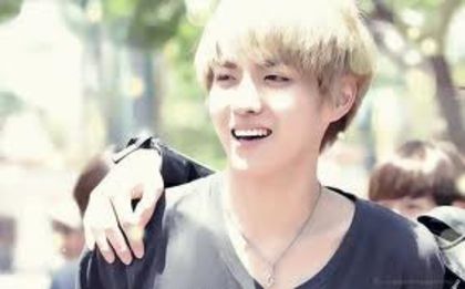  - Kris exo m