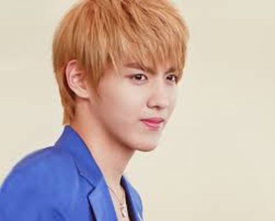  - Kris exo m