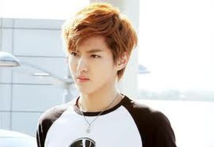 wqa - Kris exo m