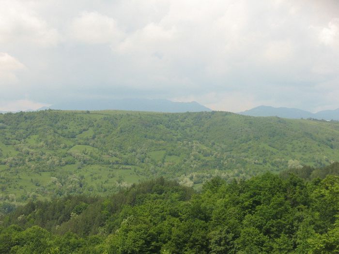 Muntii Vrancei 2009