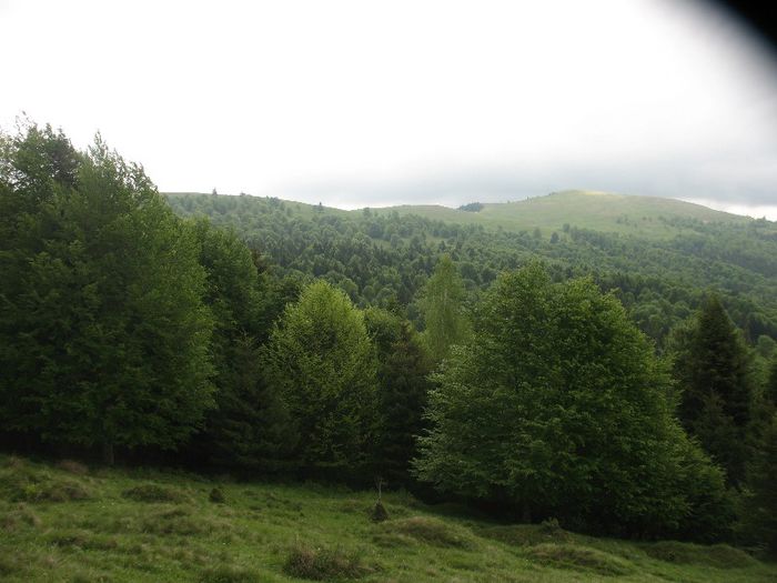 Muntii Vrancei 2009
