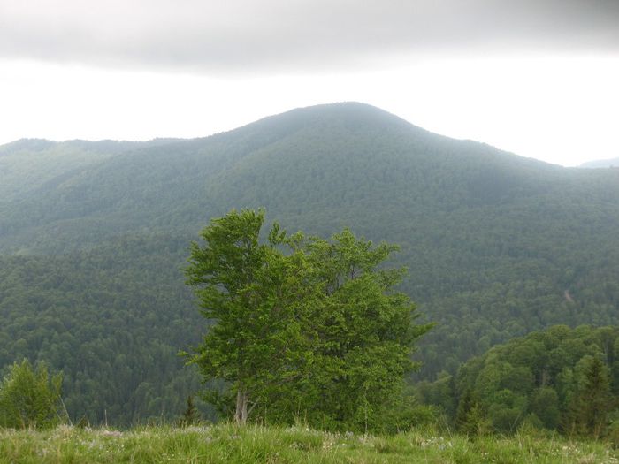 Muntii Vrancei 2009