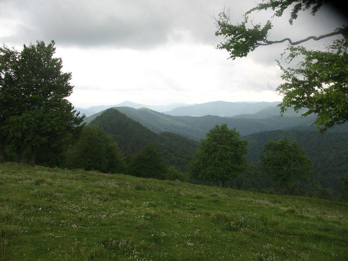 Muntii Vrancei 2009