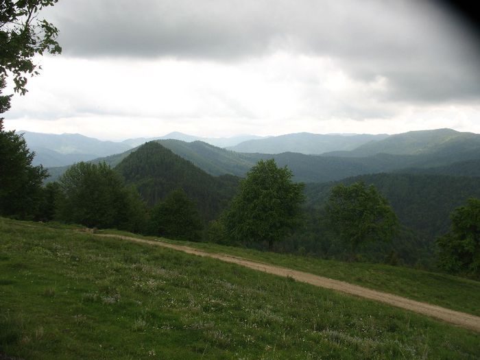 Muntii Vrancei 2009