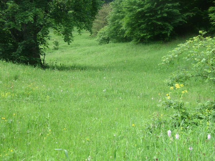 Muntii Vrancei 2009