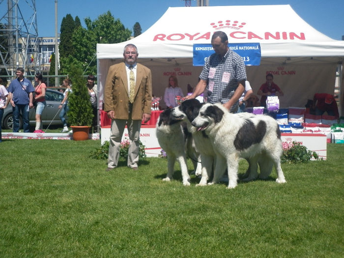 P1030625 - 9_Expo CAC Pitesti 11-12 mai 2013