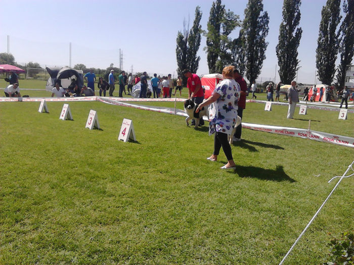 30 - expozitia CAC Pitesti 12-05-2013