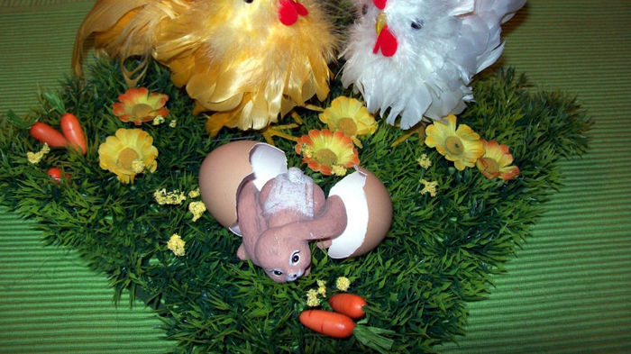 easter chick - easter