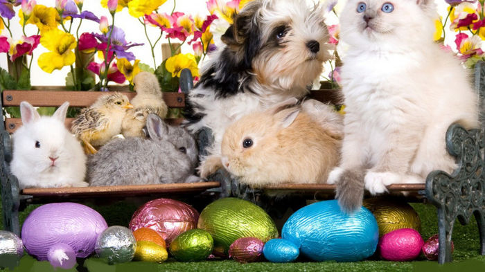 easter friends