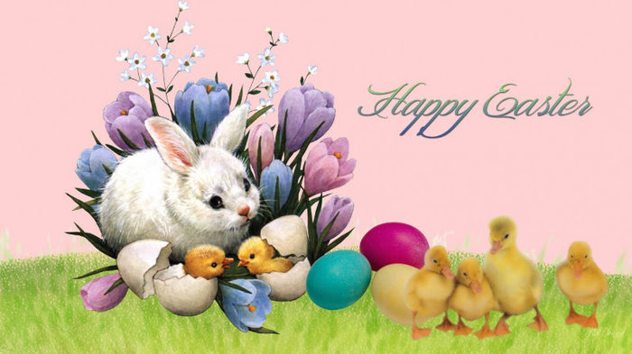 happy easter - easter