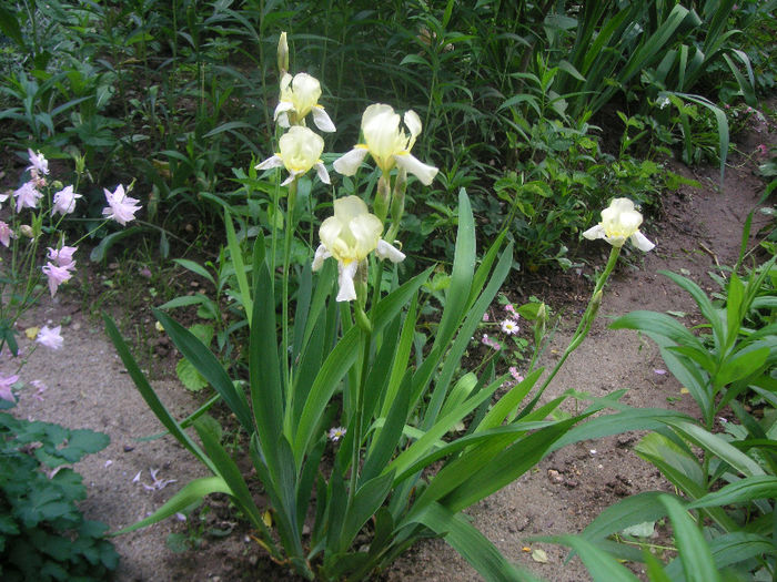 SANY0143