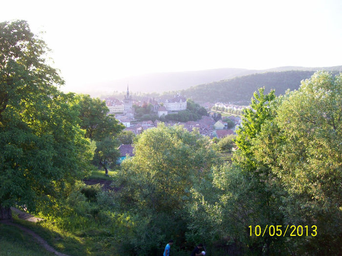 100_7462