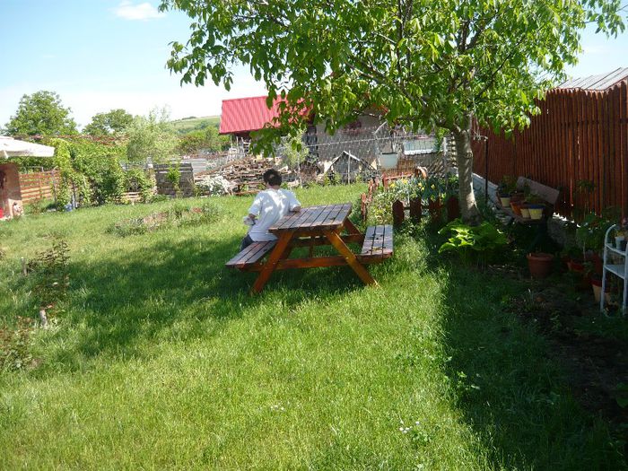 Picture 2180 - curtea primavara