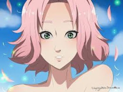 images (40)