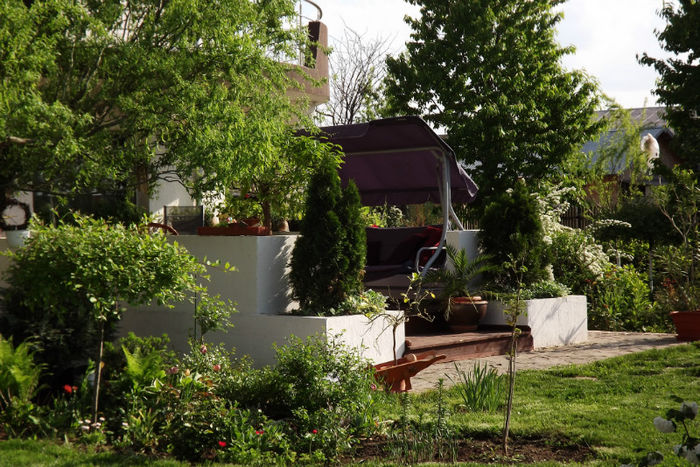 2013-gradina 231