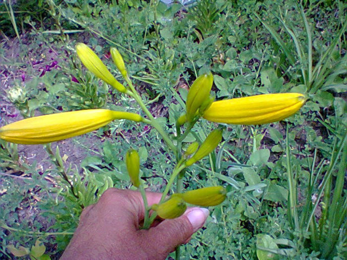 Fotogr.1234