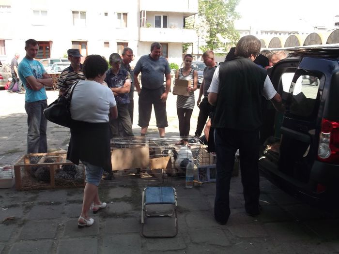 MARFA BUNA, ....CLIENTI GRAMADA - NU CONTEAZA EDITIA BINE CA MERGE