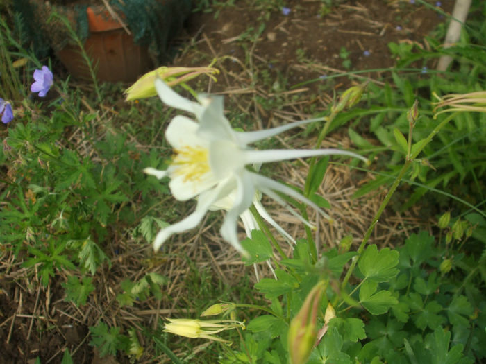 DSCF0927