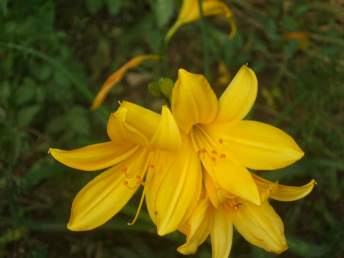 DSCF0886