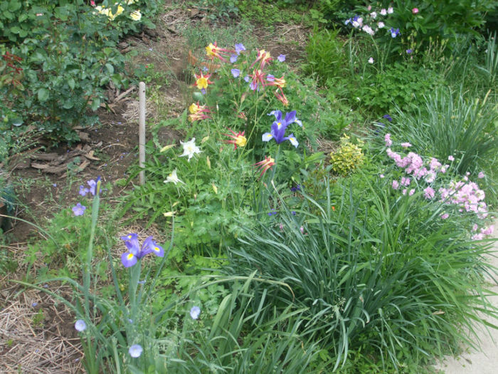 DSCF0934