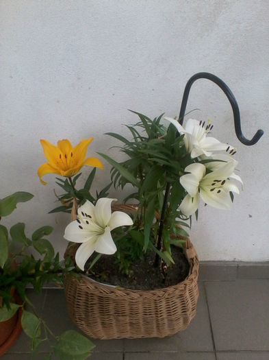 Copy of 2013-05-14 17.16.27