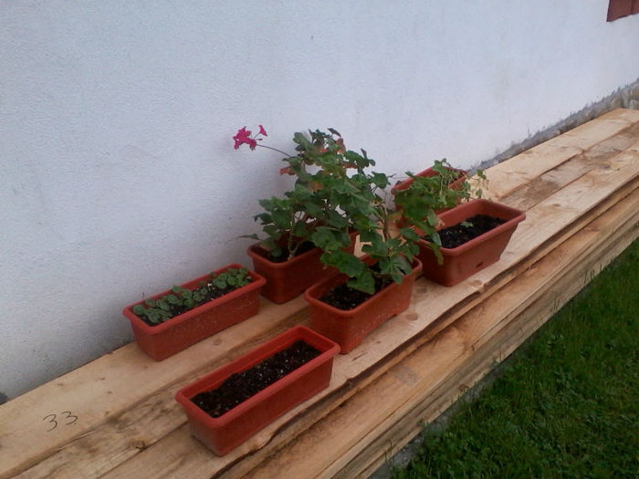 Copy of 2013-05-14 17.16.48