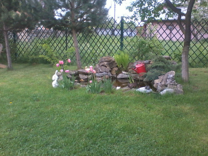 Copy of 2013-05-14 17.16.58 - X-FLORI